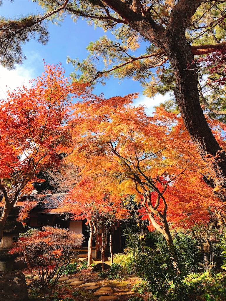 f:id:yomechang:20191215171411j:image f:id:yomechang:20191215171411j:image
