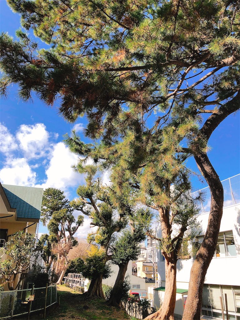 f:id:yomechang:20200119152024j:image