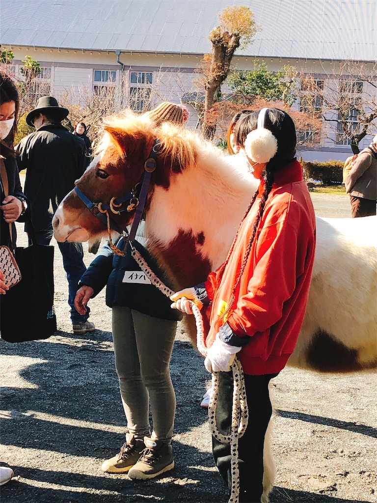 f:id:yomechang:20200119152127j:image