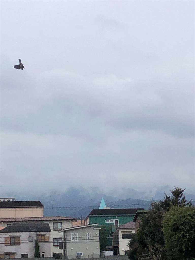 f:id:yomechang:20200226120320j:image f:id:yomechang:20200226120320j:image