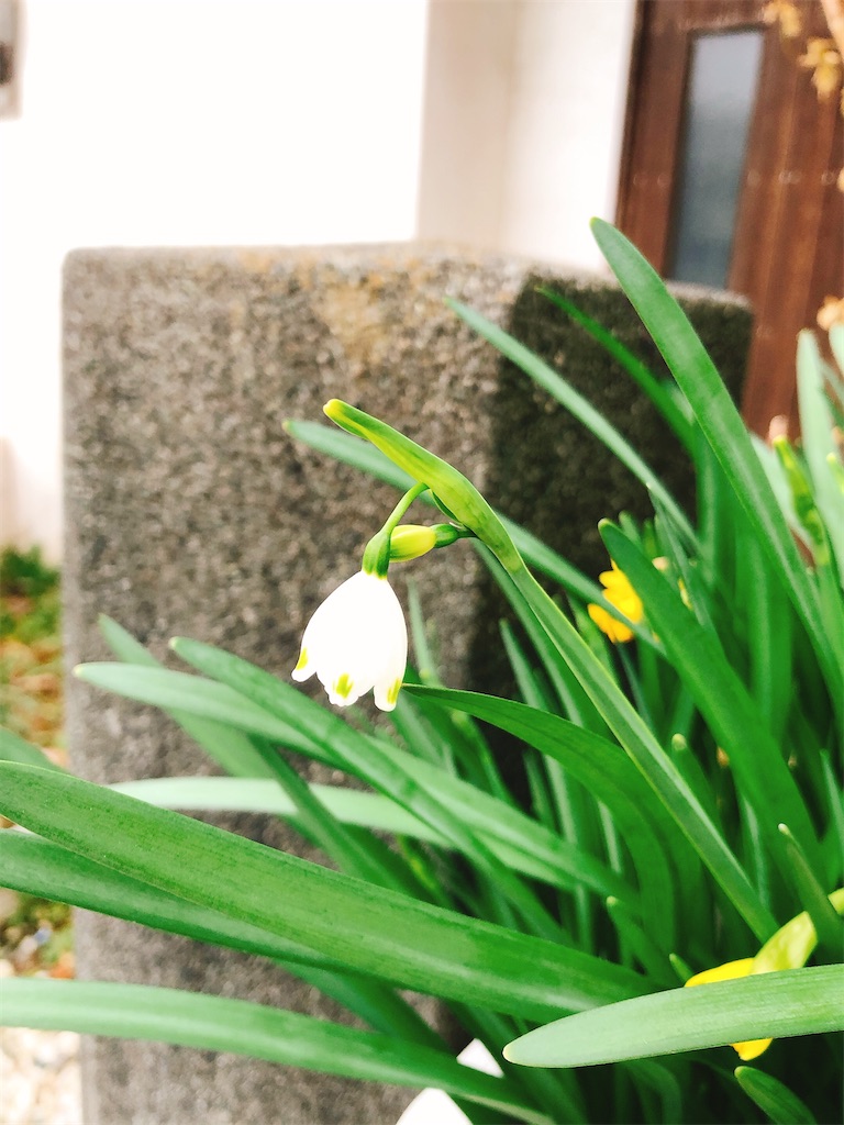 f:id:yomechang:20200228170422j:image f:id:yomechang:20200228170422j:image