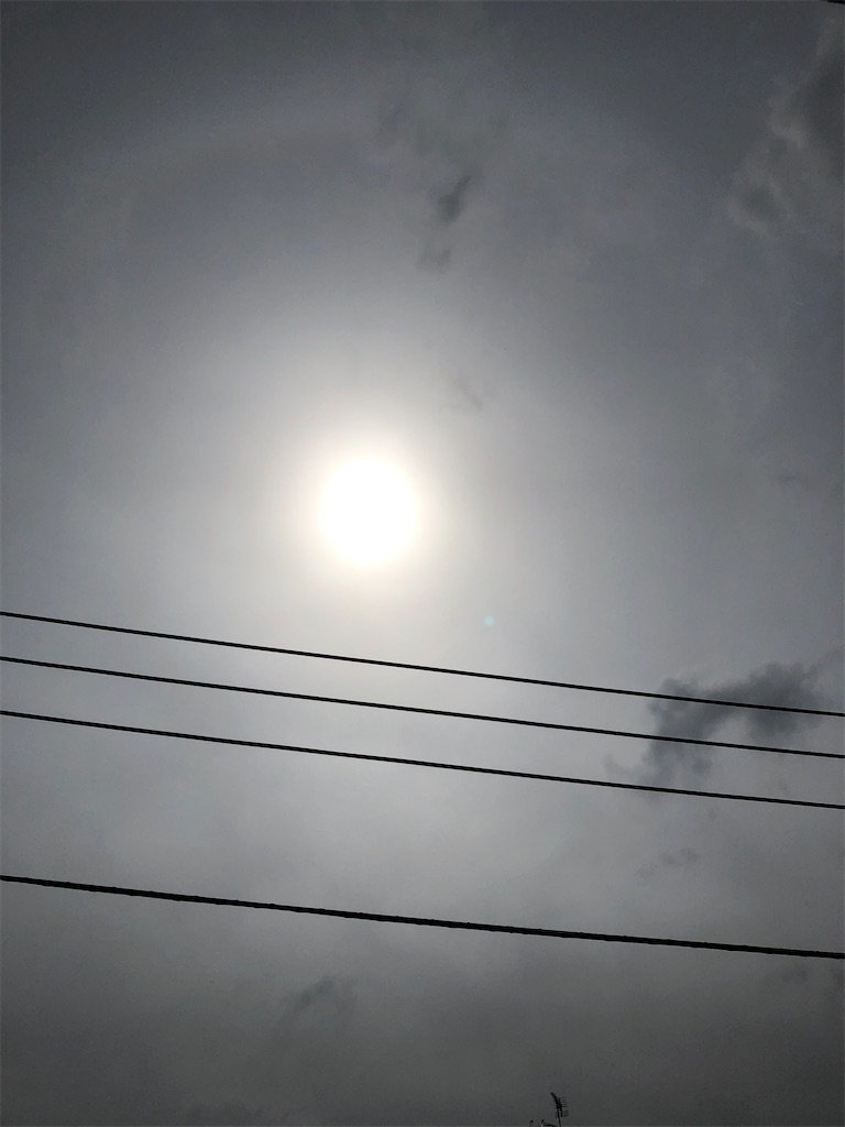 f:id:yomechang:20200304124329j:image
