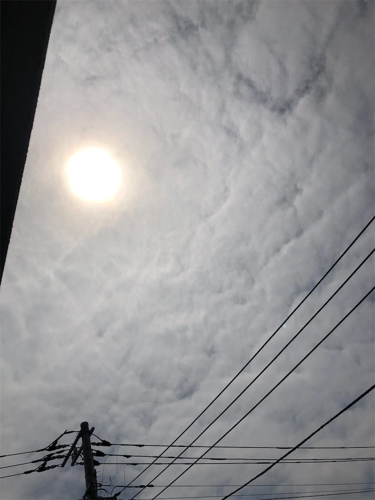 f:id:yomechang:20200523100815j:image f:id:yomechang:20200523100815j:image
