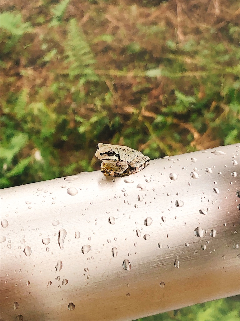 f:id:yomechang:20200725193612j:image