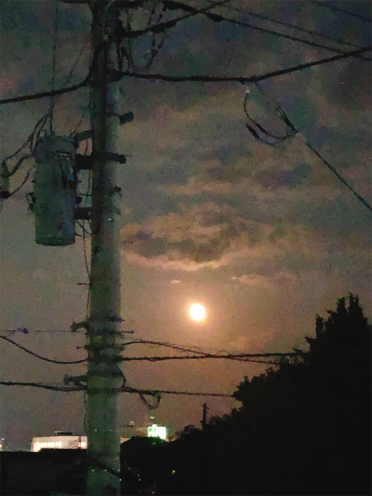 f:id:yomechang:20200804205044j:image