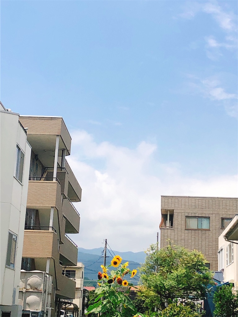 f:id:yomechang:20200805112720j:image