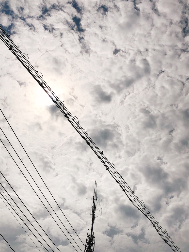 f:id:yomechang:20200810101232j:image f:id:yomechang:20200810101232j:image