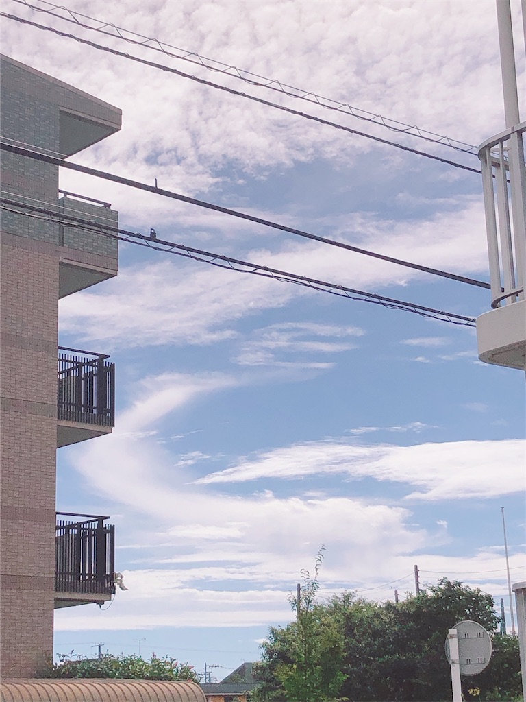 f:id:yomechang:20200910102216j:image f:id:yomechang:20200910102216j:image