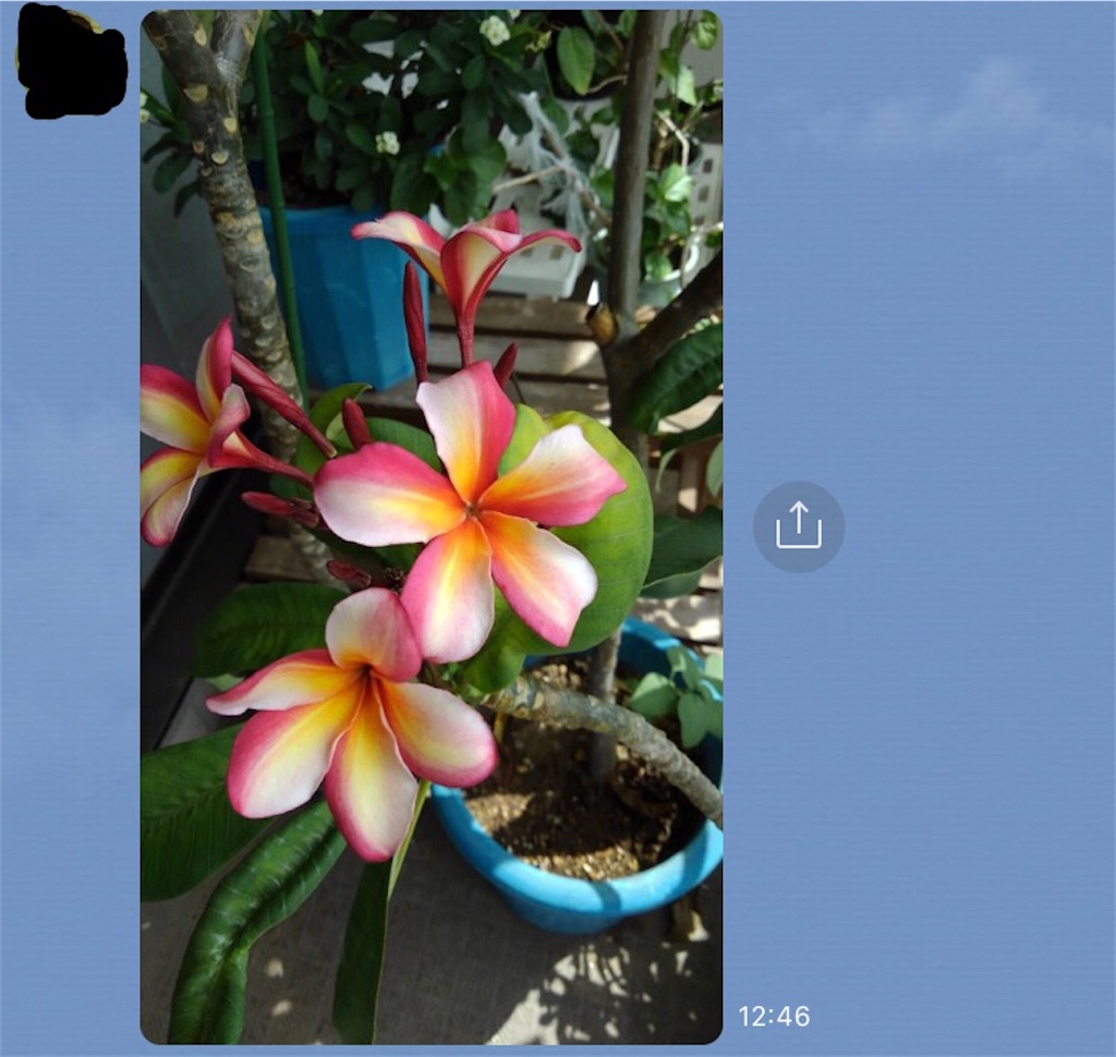 f:id:yomechang:20200914174929j:image f:id:yomechang:20200914174929j:image