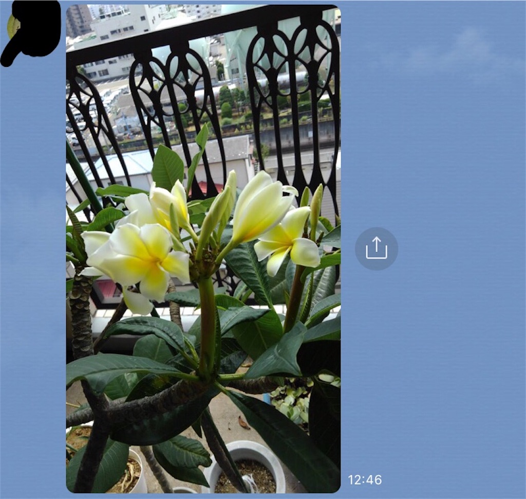 f:id:yomechang:20200914174943j:image f:id:yomechang:20200914174943j:image