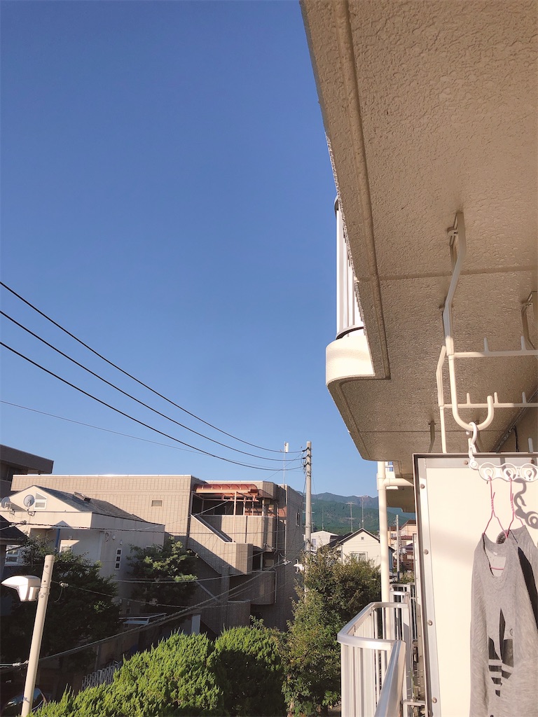 f:id:yomechang:20201029073446j:plain f:id:yomechang:20201029073446j:plain