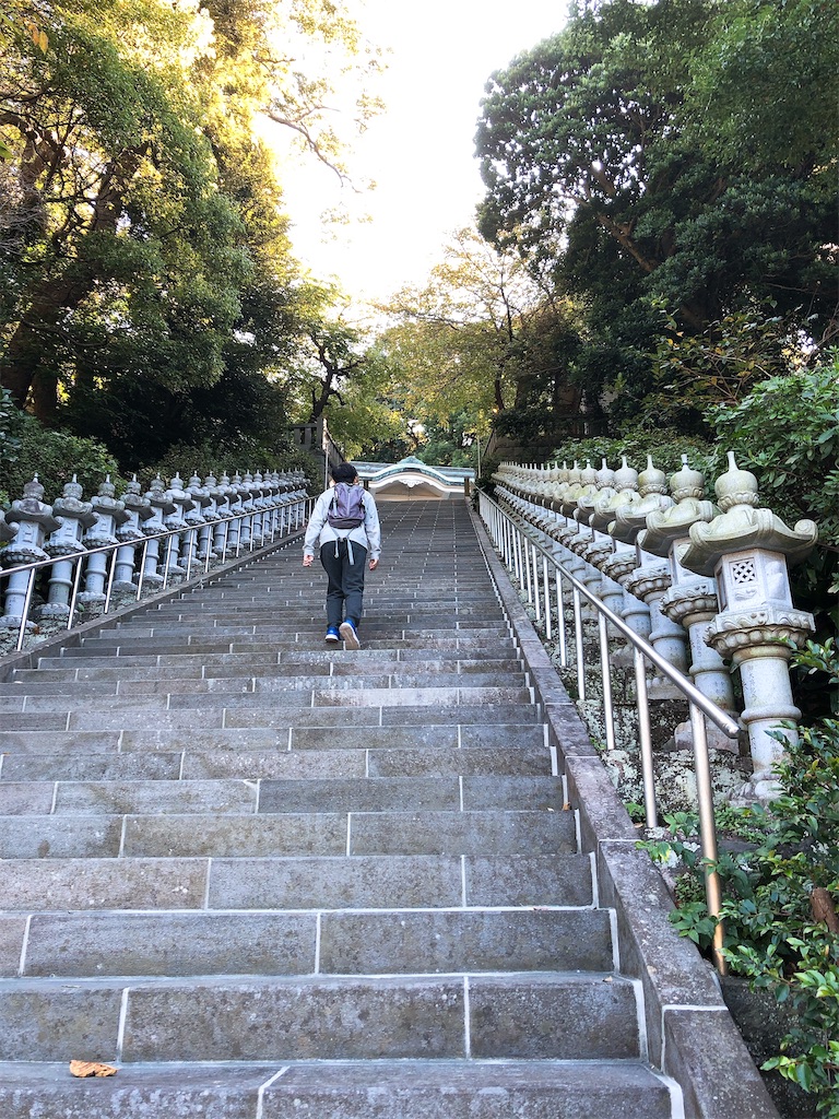 f:id:yomechang:20201031152313j:plain