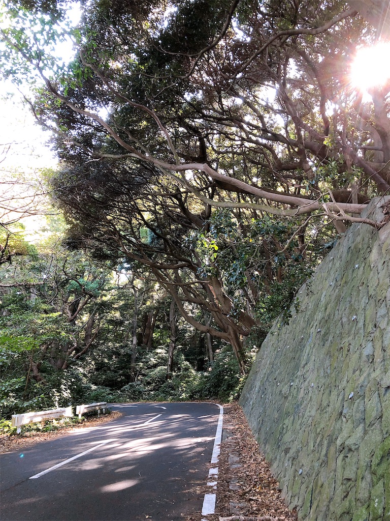 f:id:yomechang:20201031154333j:plain f:id:yomechang:20201031154333j:plain