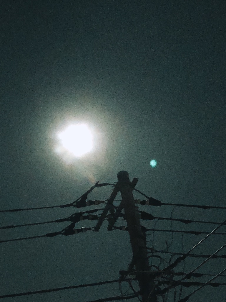 f:id:yomechang:20201031220607j:plain