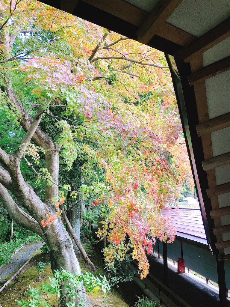 f:id:yomechang:20201115151448j:plain f:id:yomechang:20201115151448j:plain