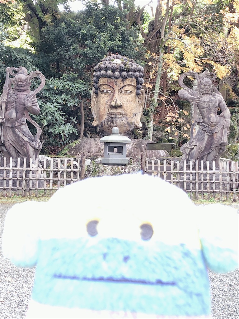 f:id:yomechang:20201121153833j:plain