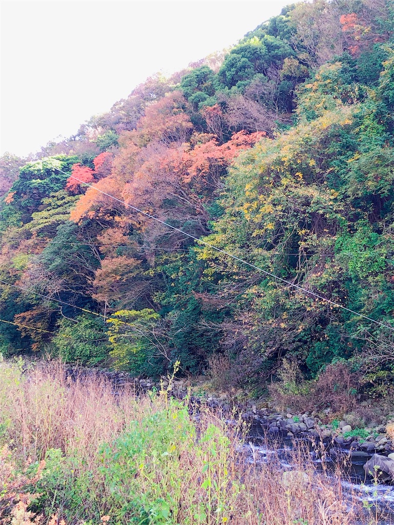 f:id:yomechang:20201121154227j:plain