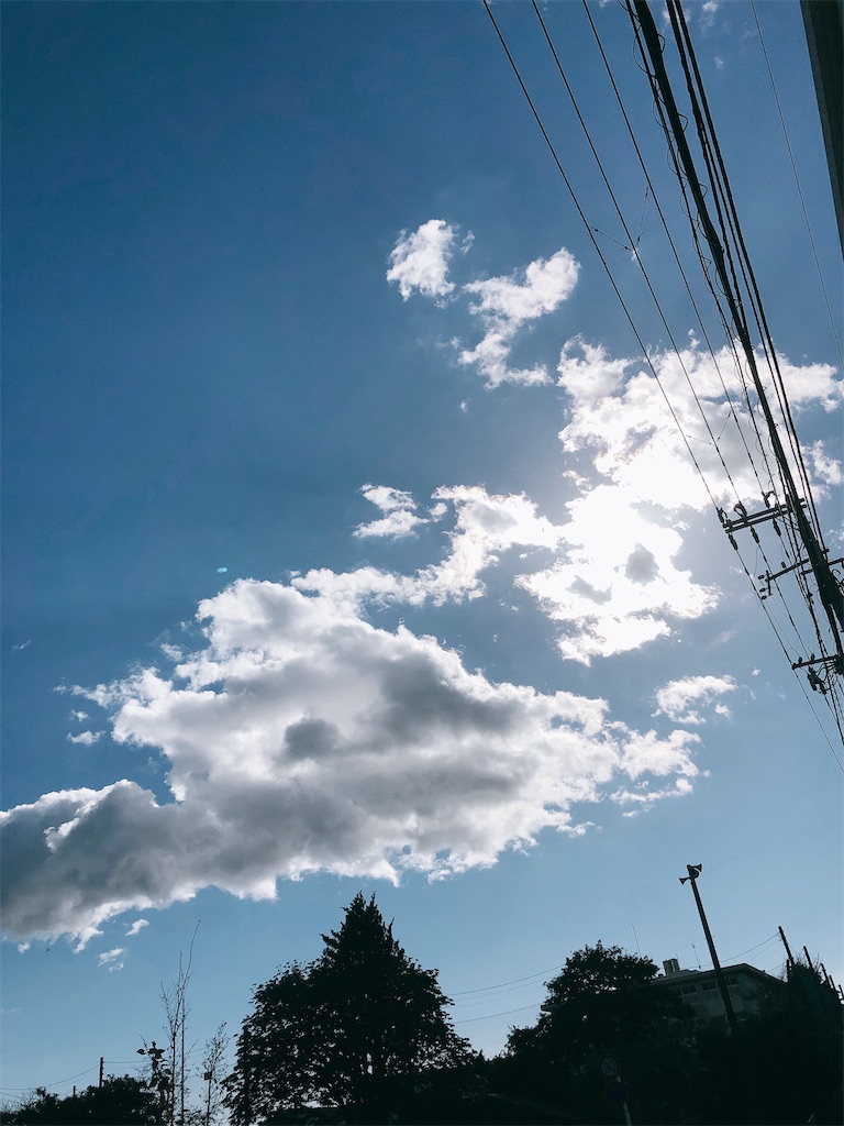 f:id:yomechang:20201215113721j:plain