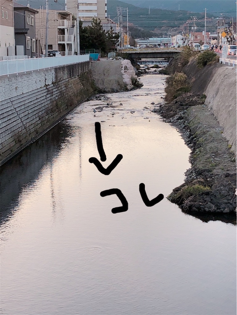 f:id:yomechang:20201218164509j:plain
