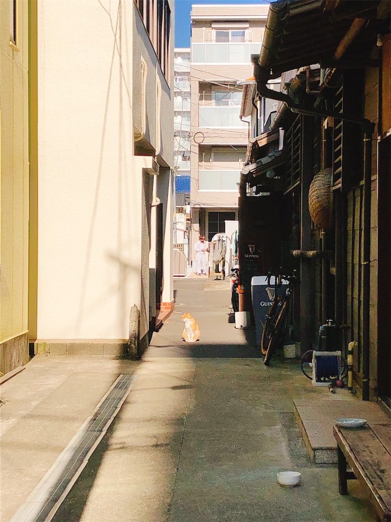 f:id:yomechang:20201225162453j:plain