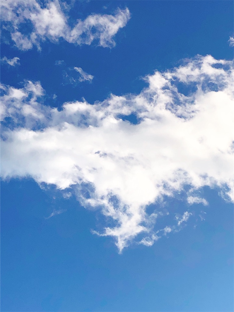 f:id:yomechang:20210129163018j:plain