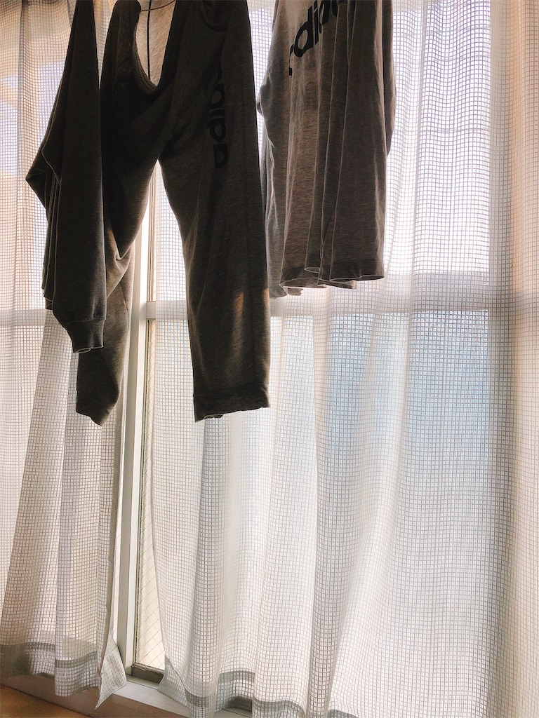 f:id:yomechang:20210129163313j:plain