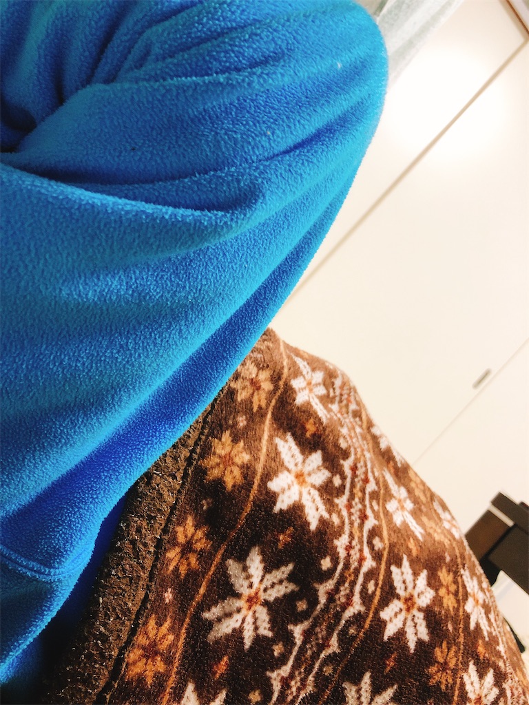 f:id:yomechang:20210131193000j:plain