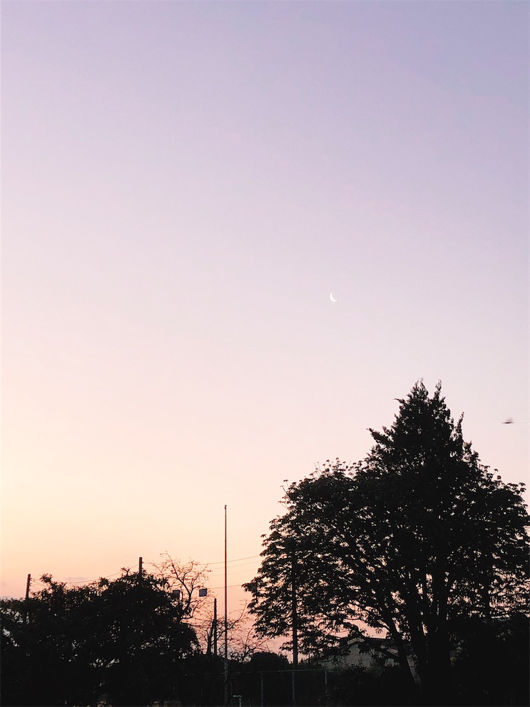 f:id:yomechang:20210208110018j:plain