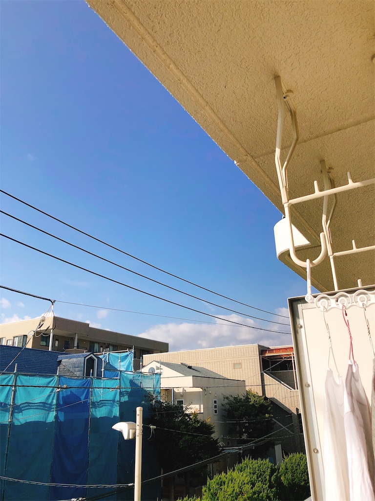 f:id:yomechang:20210213092002j:plain