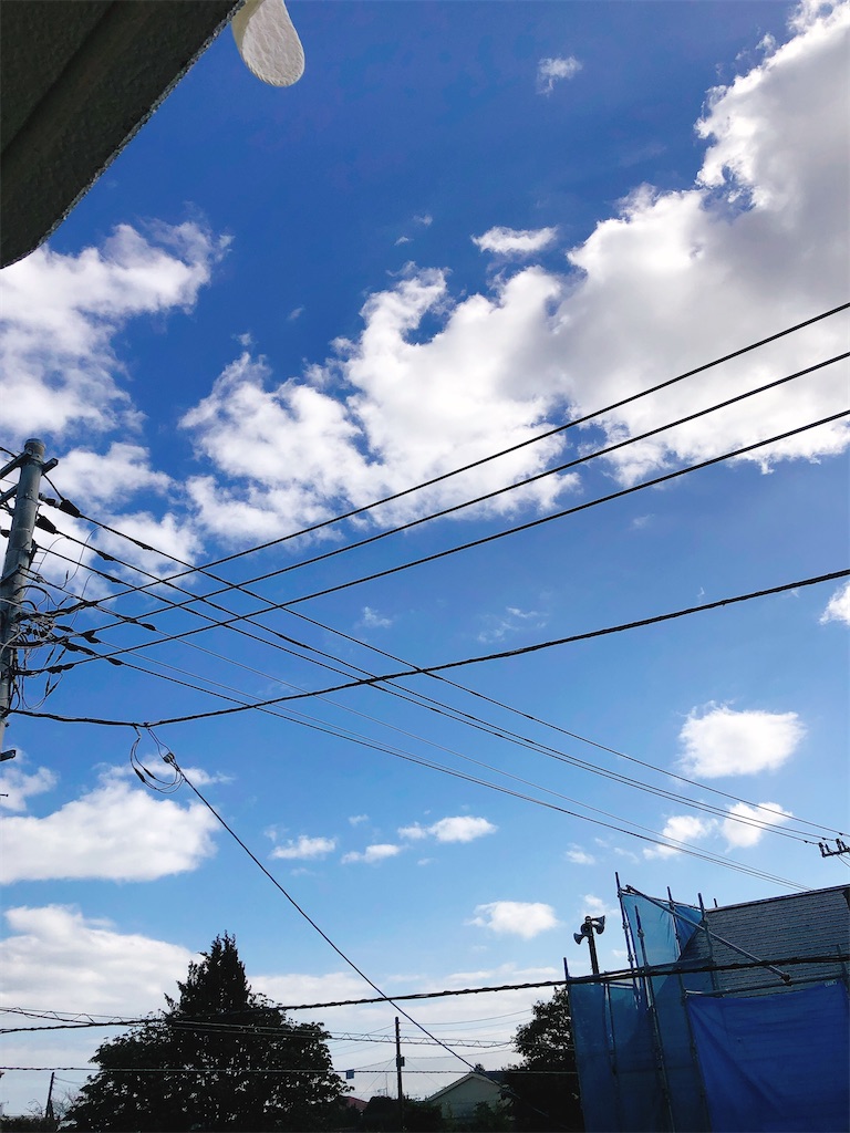 f:id:yomechang:20210214133544j:plain