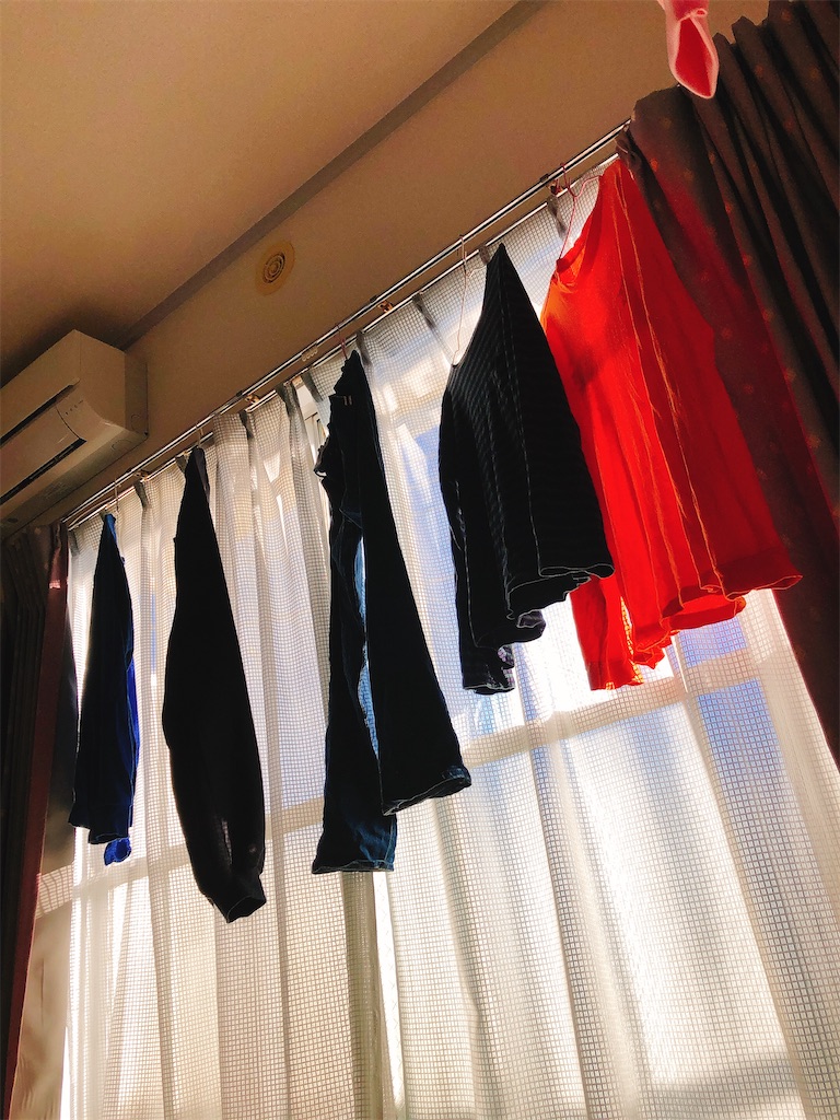 f:id:yomechang:20210215160524j:plain
