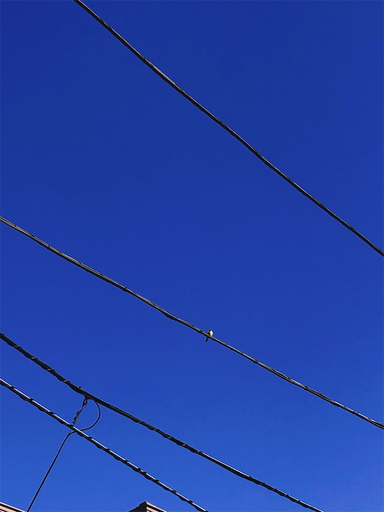 f:id:yomechang:20210219162413j:plain