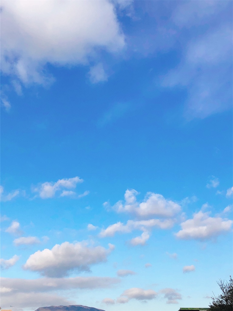 f:id:yomechang:20210225084026j:plain