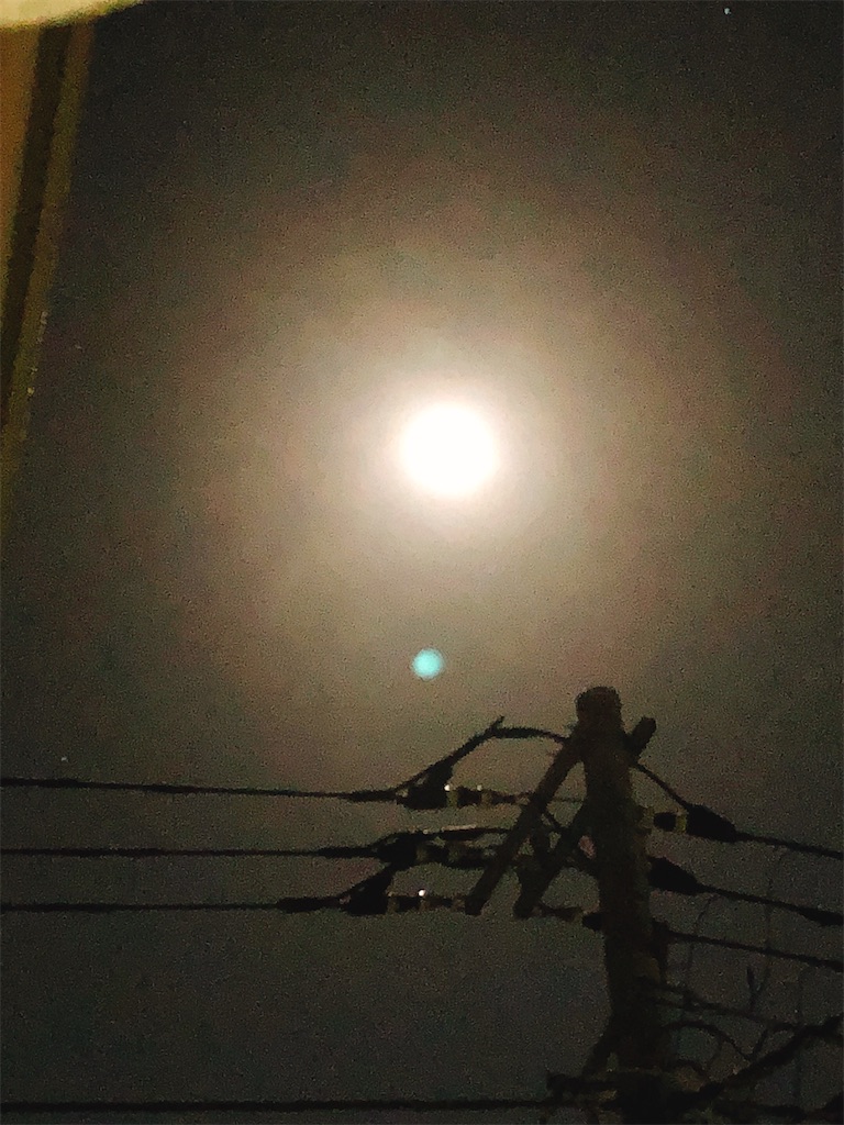f:id:yomechang:20210228101520j:plain