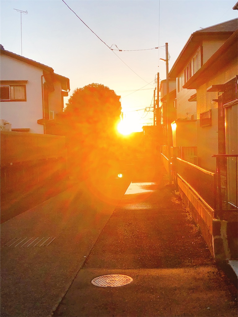 f:id:yomechang:20210303121732j:plain