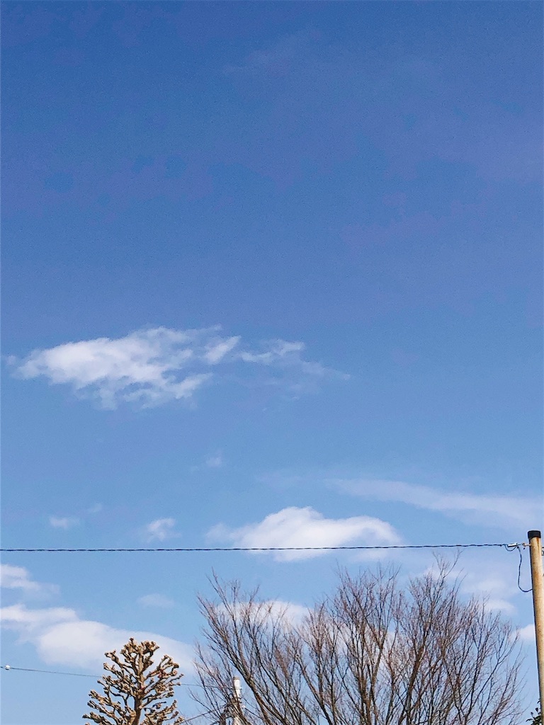 f:id:yomechang:20210319162224j:plain