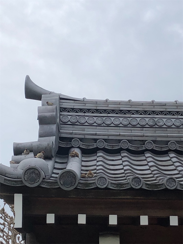 f:id:yomechang:20210322112107j:plain