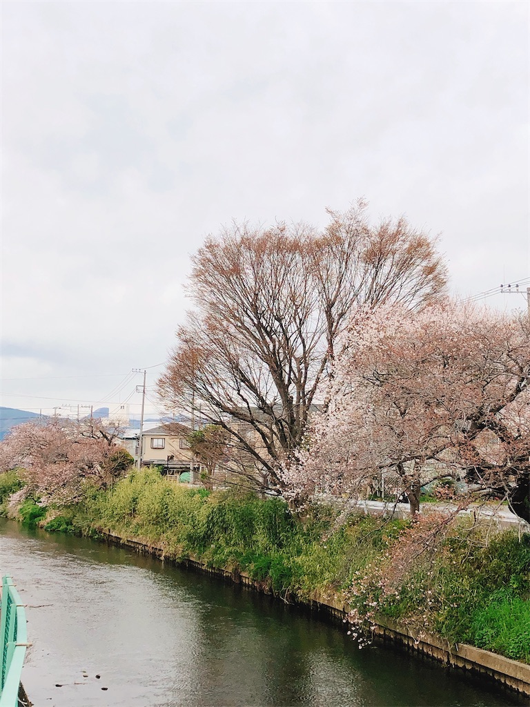 f:id:yomechang:20210325130545j:plain
