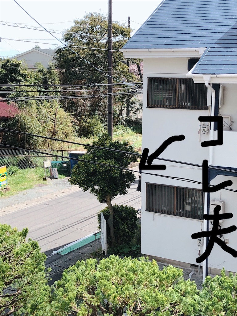 f:id:yomechang:20210329134657j:plain