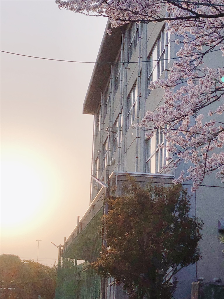 f:id:yomechang:20210331115812j:plain
