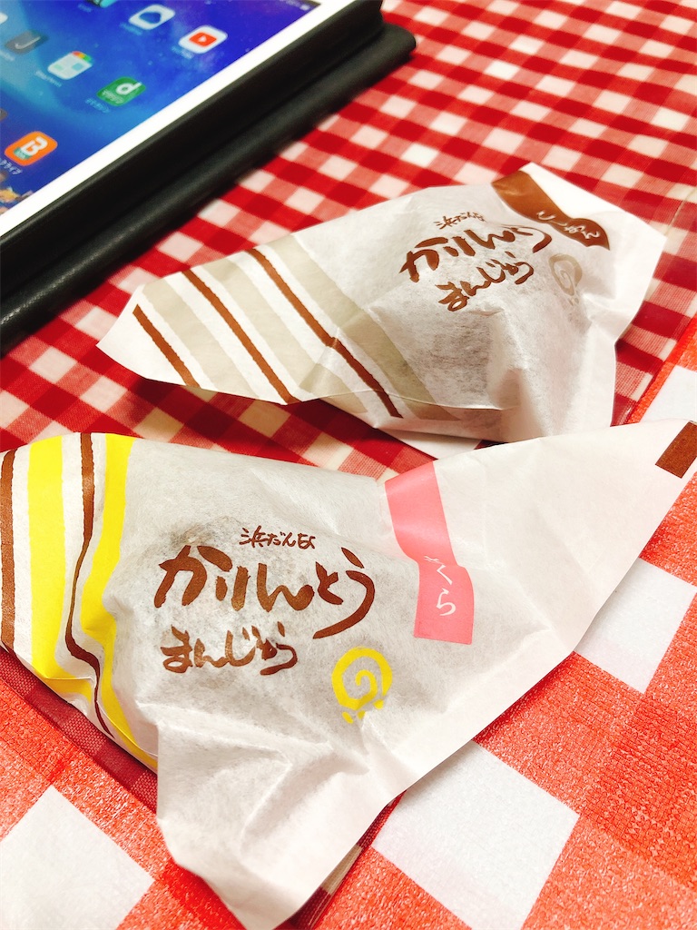 f:id:yomechang:20210404153959j:plain