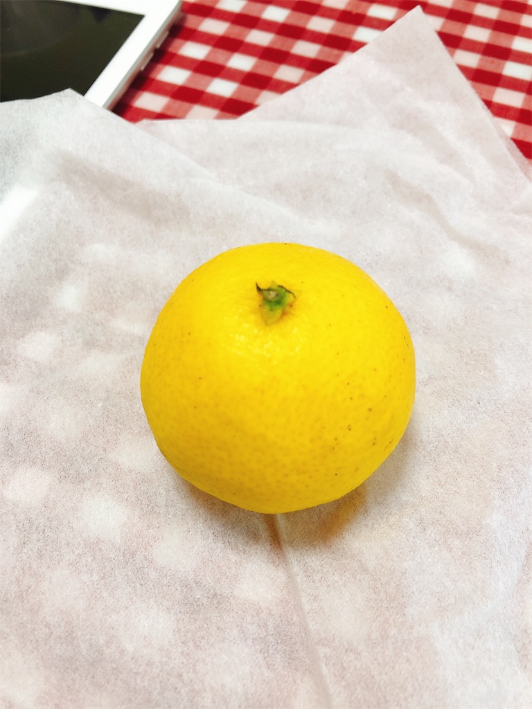 f:id:yomechang:20210417103129j:plain