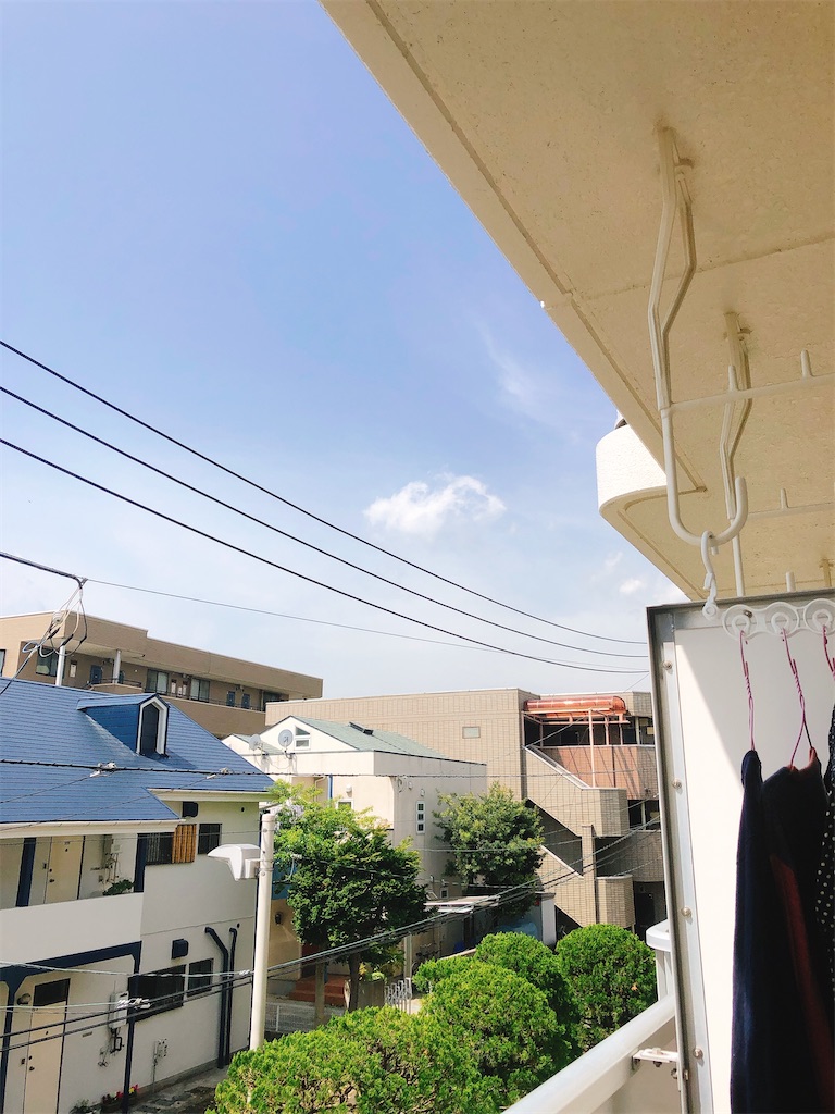 f:id:yomechang:20210501102853j:plain