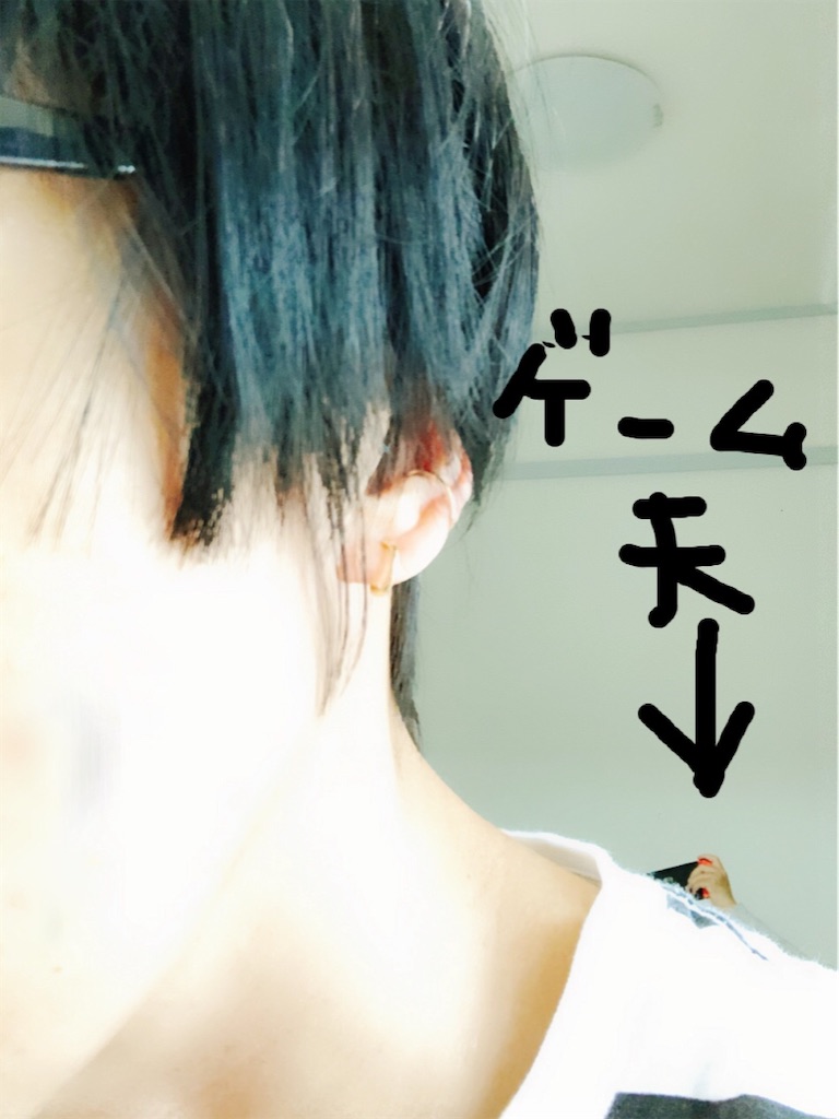 f:id:yomechang:20210501142033j:plain