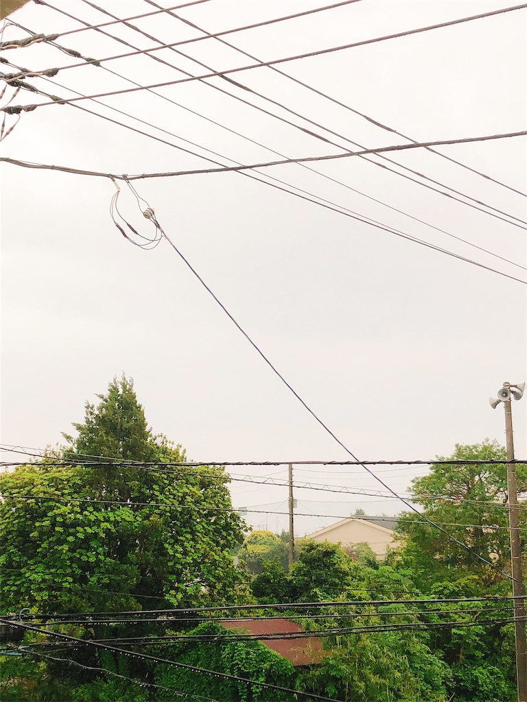 f:id:yomechang:20210501161040j:plain