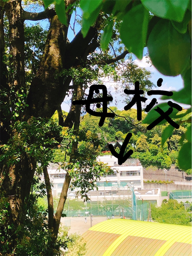 f:id:yomechang:20210503143333j:plain