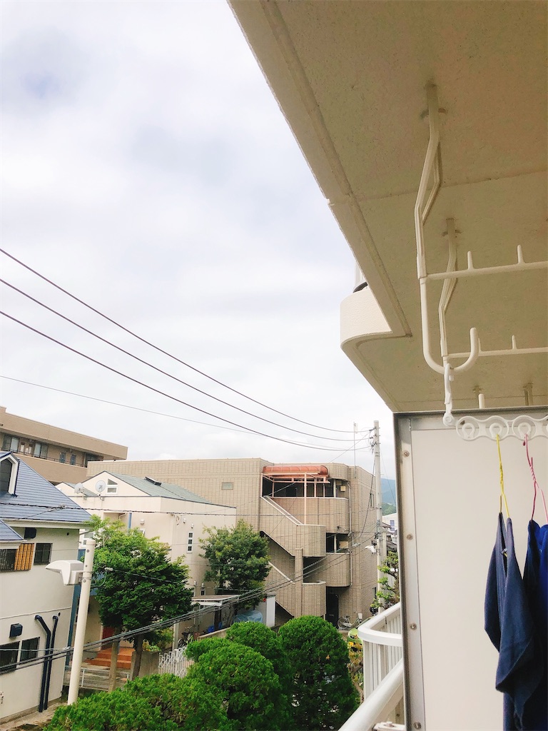 f:id:yomechang:20210506090936j:plain