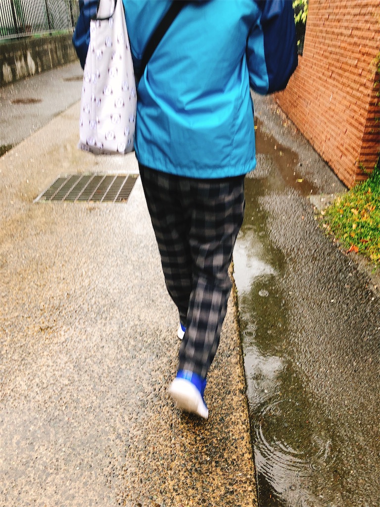 f:id:yomechang:20210513135627j:plain