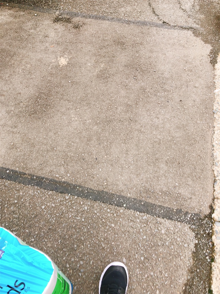 f:id:yomechang:20210520102005j:plain