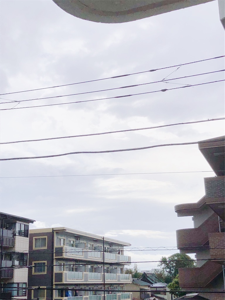 f:id:yomechang:20210521083625j:plain